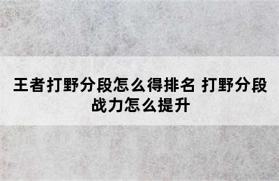 王者打野分段怎么得排名 打野分段战力怎么提升